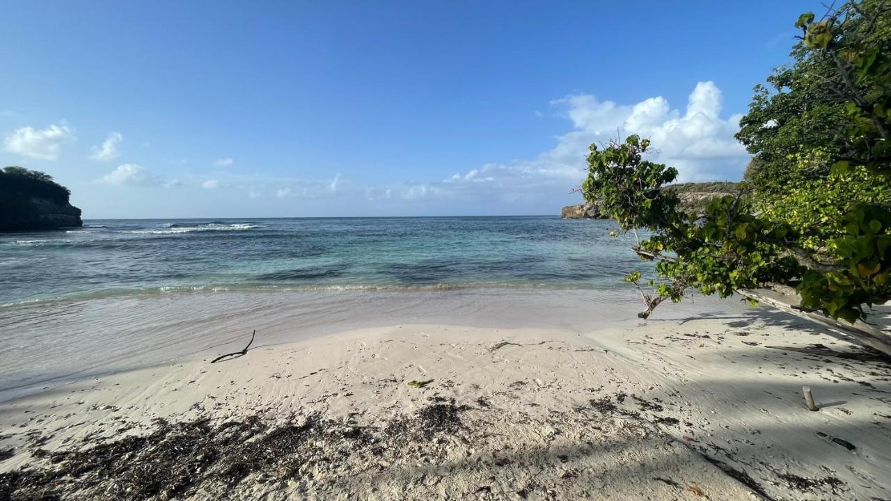 Appartement Cosy - Entre Nature Et Plages De Reve Le Gosier  Exterior foto